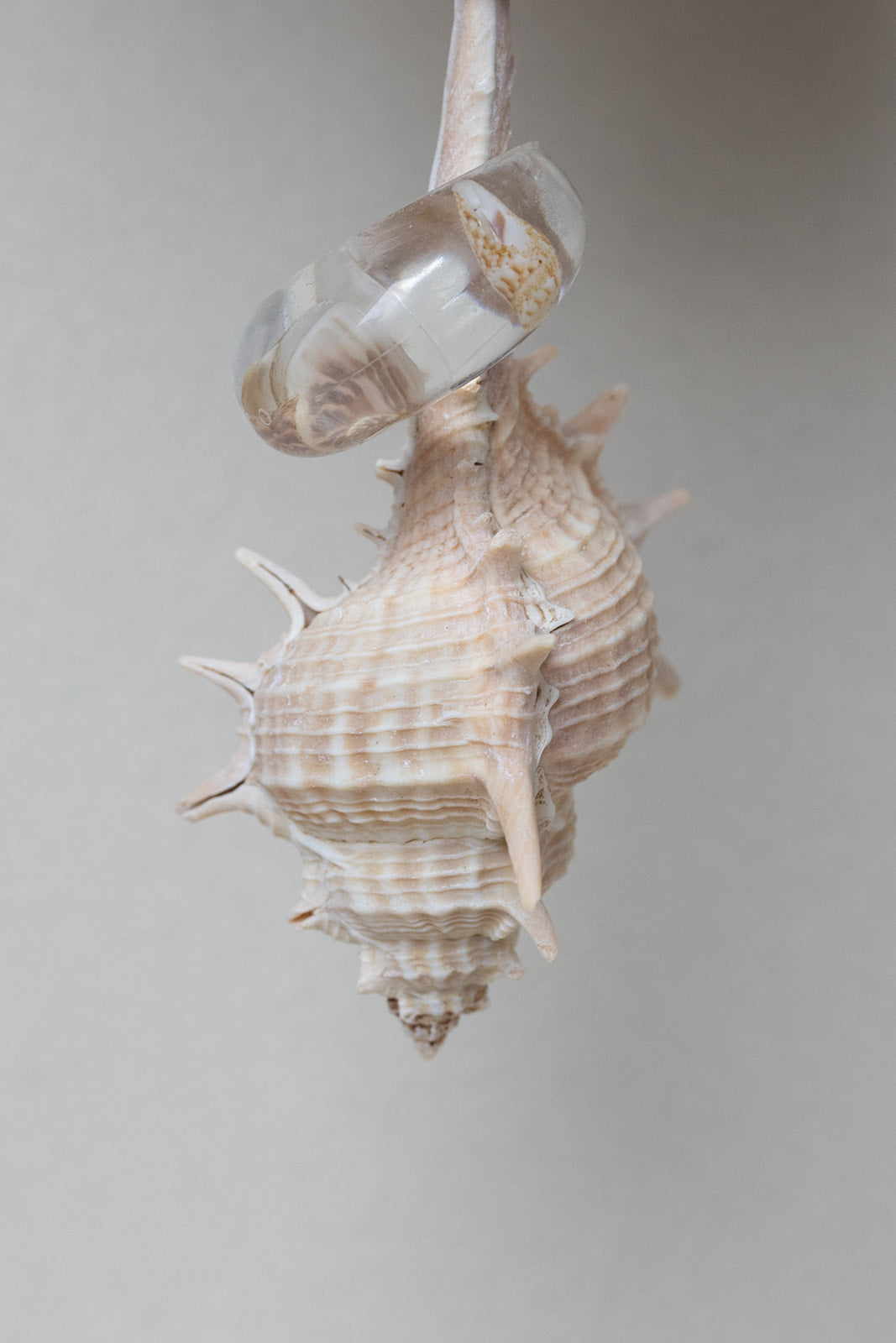 Shell Resin Ring