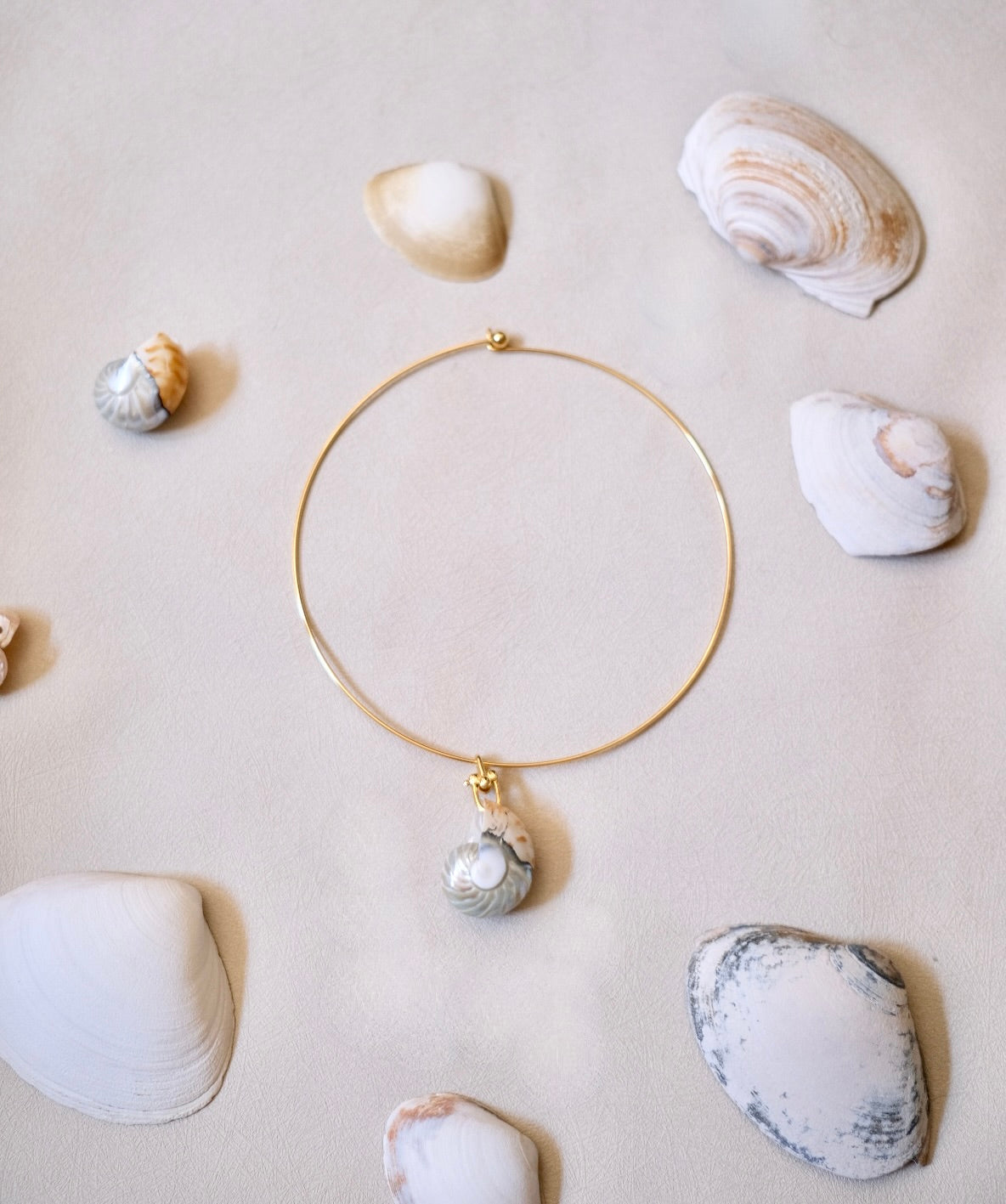 Nautilus Shell Wire Necklace
